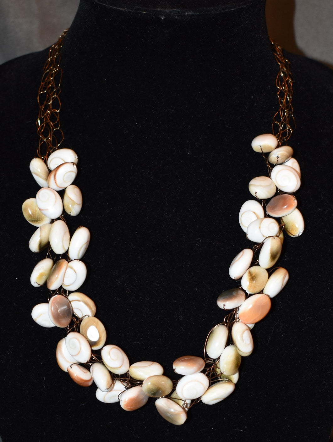 Polished Spiral Shell TSD